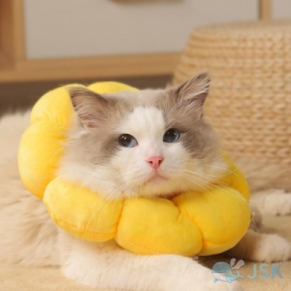 고양이 넥카라 깔대기 노랑 대L JS00602 이미지