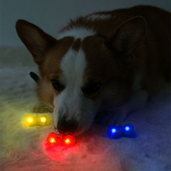 강아지 LED 야간산책 펫목걸이 야광불빛라이트 네임택 펜던트 팬던트 인식표 이름표 이미지