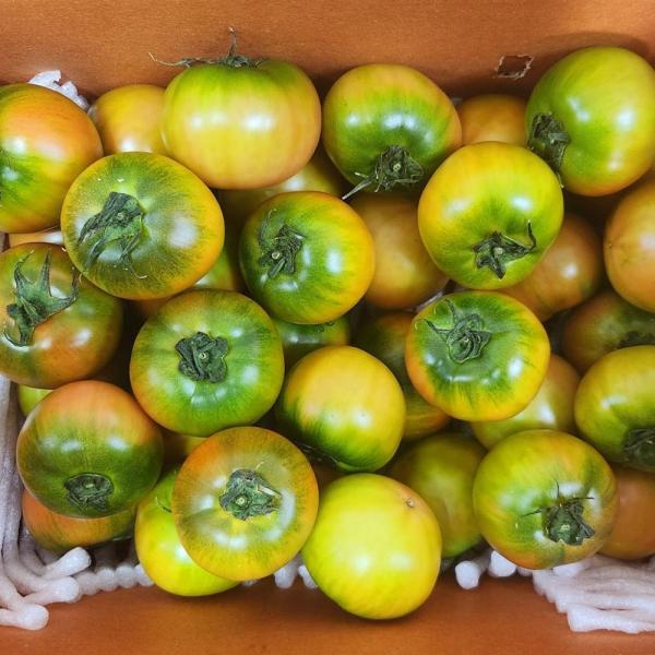 대저 짭짤이 토마토 2.5kg 로얄과 이미지