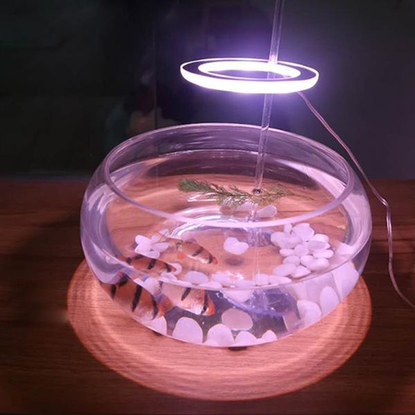 LED 엔젤등 식물성장 전구 조명 램프 다육이 선인장 식물용 엔젤링 이미지